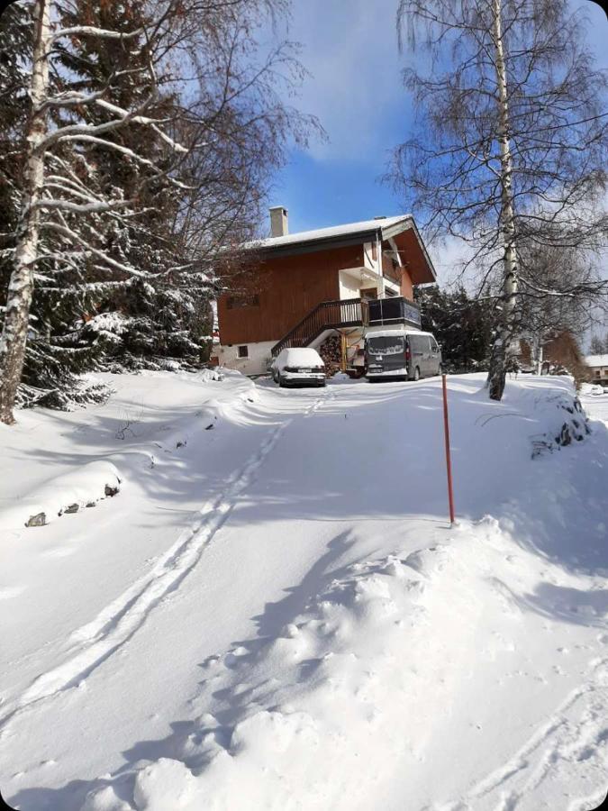 Chalet Spacieux Et Convivial La Toussuire Fontcouverte-la-Toussuire Eksteriør bilde